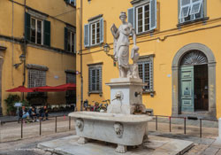  lucca